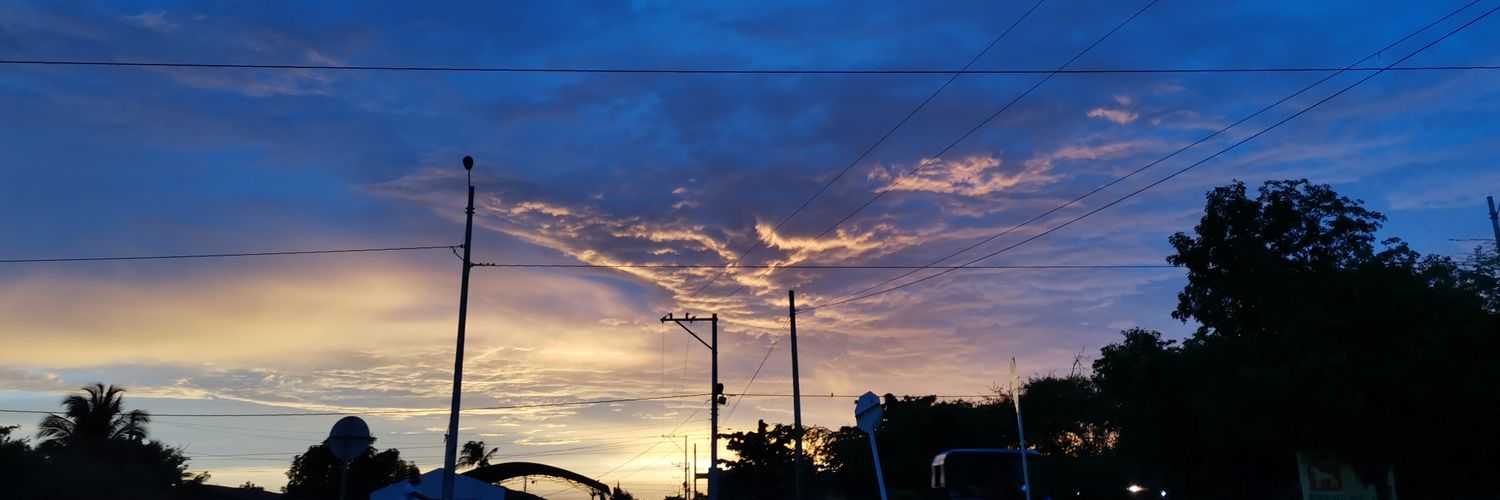 linaMCantillo's profile banner image