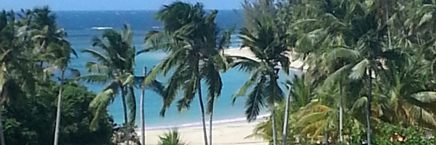 4crapps's profile banner image