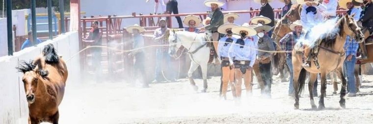 charrovirtual's profile banner image