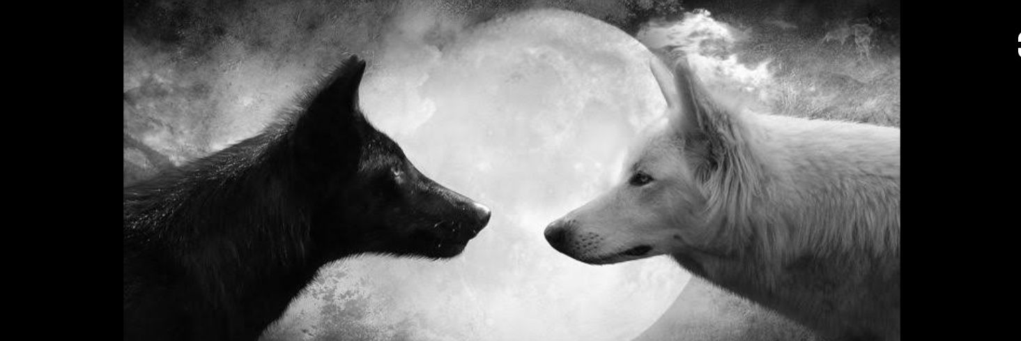 kanber0852's profile banner image