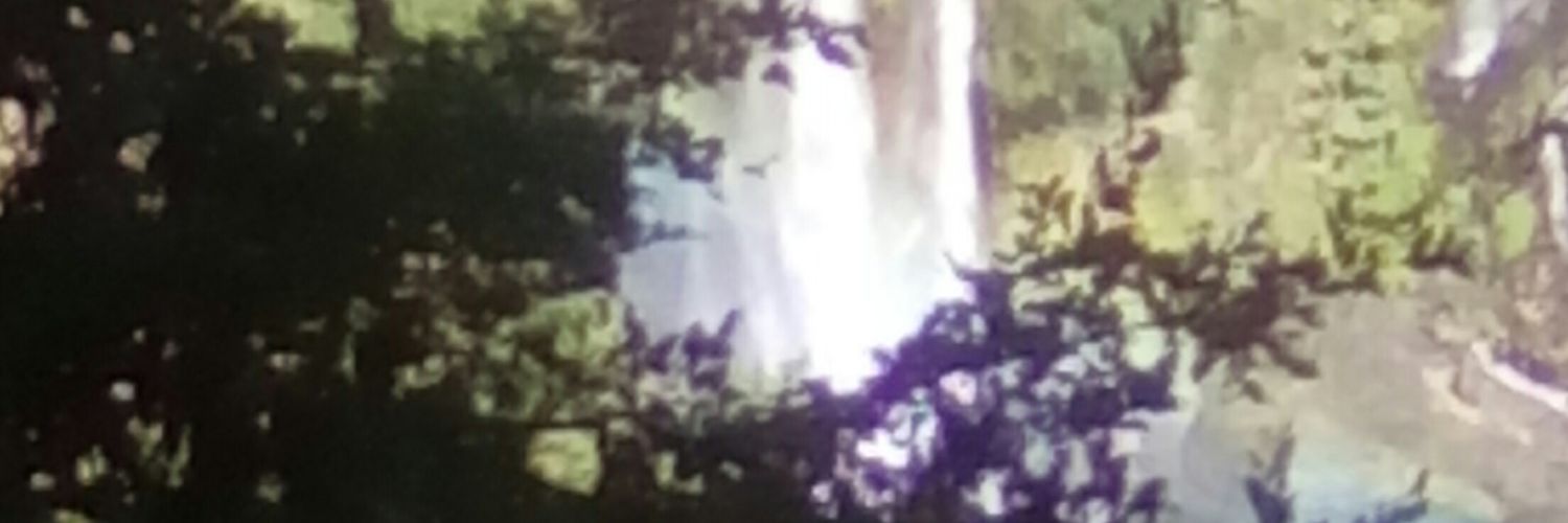patrickantho090's profile banner image