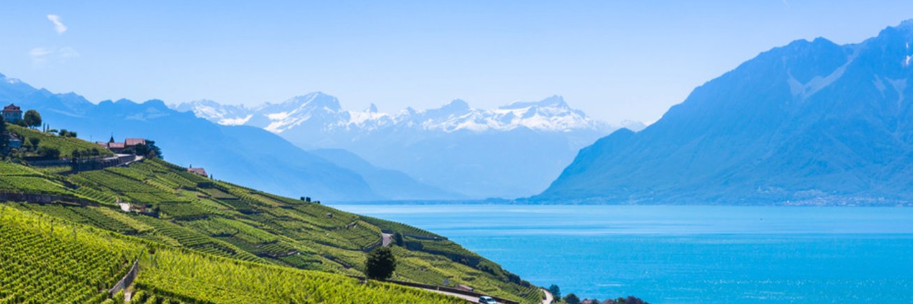 Predictive Layer banner