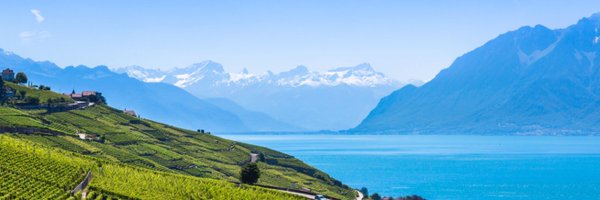 PredictiveLayer Profile Banner