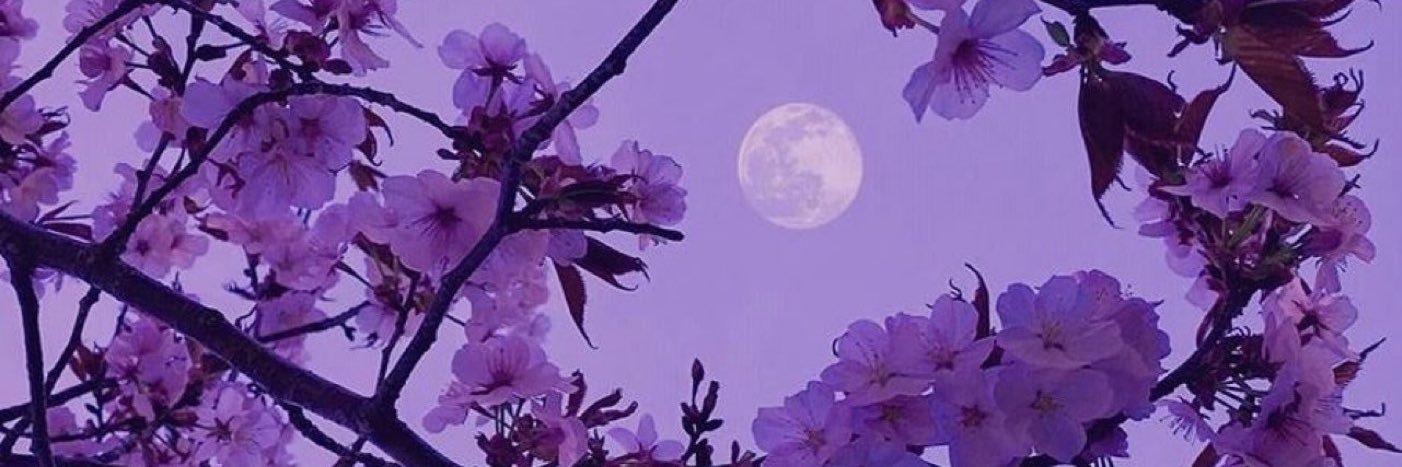 59montse's profile banner image