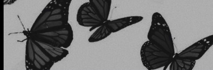 Tynasiaaa_'s profile banner image