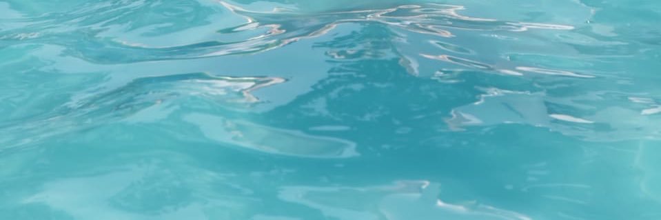 CarlaRBernardo's profile banner image