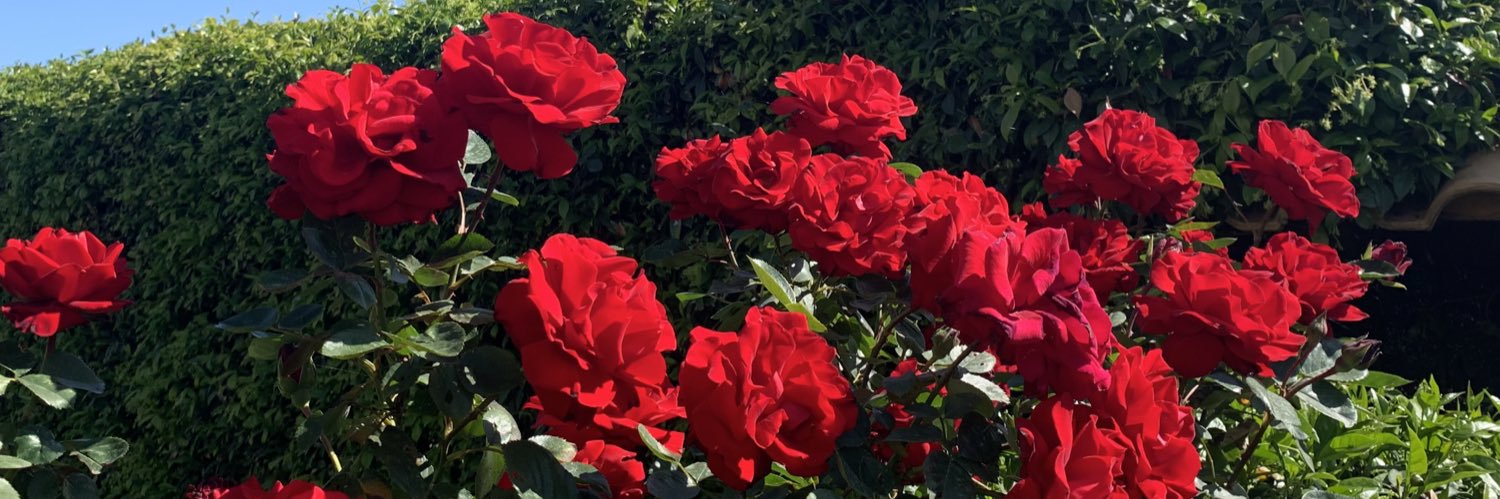 AleMariaConv's profile banner image