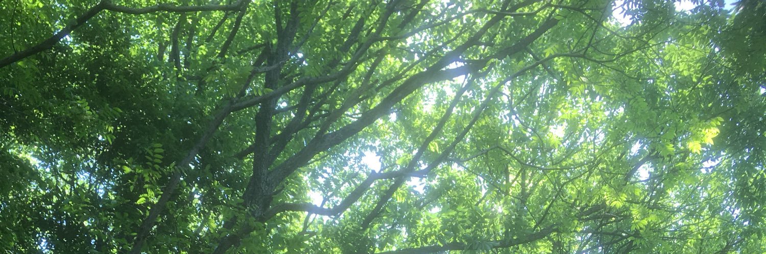 val_valeblo's profile banner image