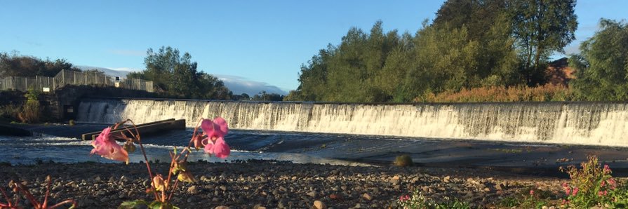 barrydrink's profile banner image