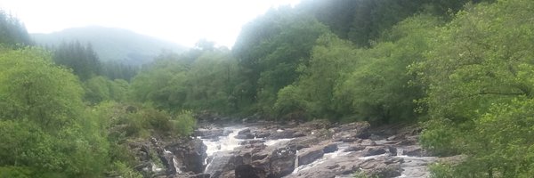 CharWN Profile Banner