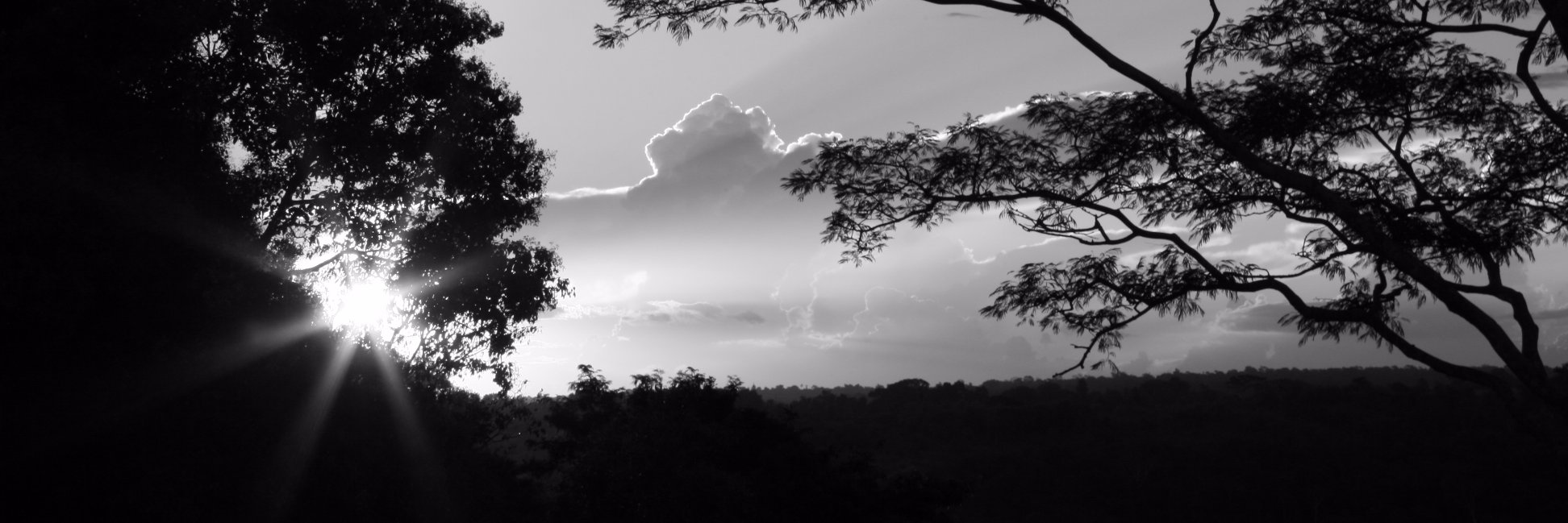 sgestefan's profile banner image