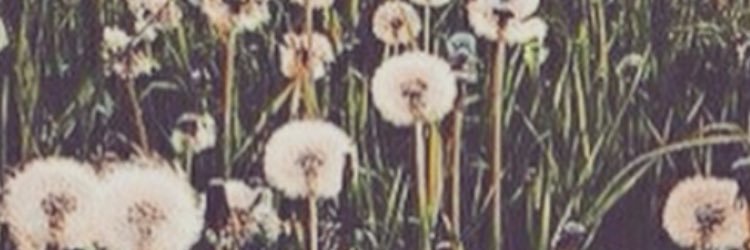 KaylieSuzannee's profile banner image