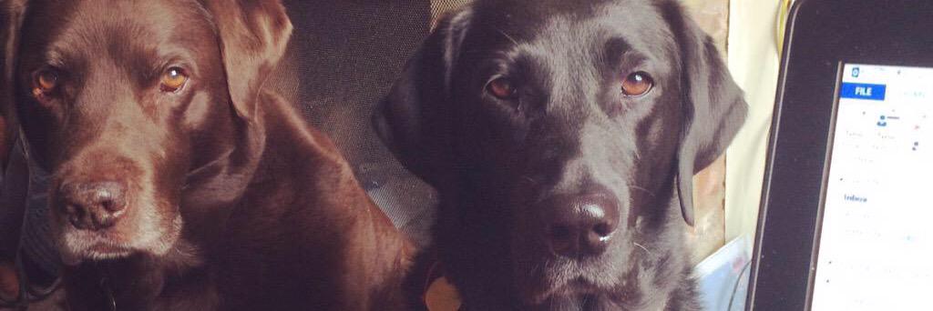 CerysThompson77's profile banner image