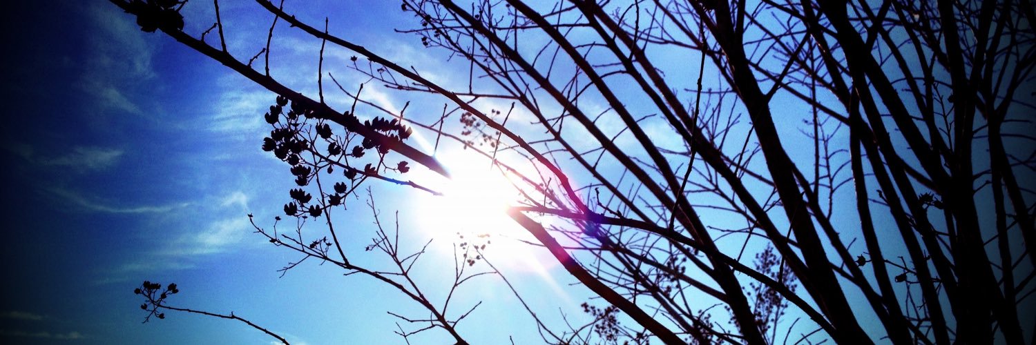 SeanSorel's profile banner image