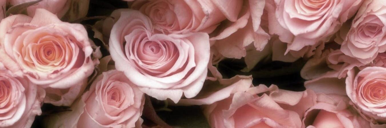 laurenabingdon's profile banner image