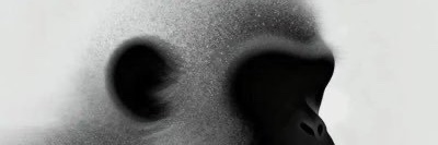 White APE banner