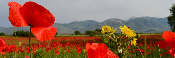 Manoudu19 Profile Banner