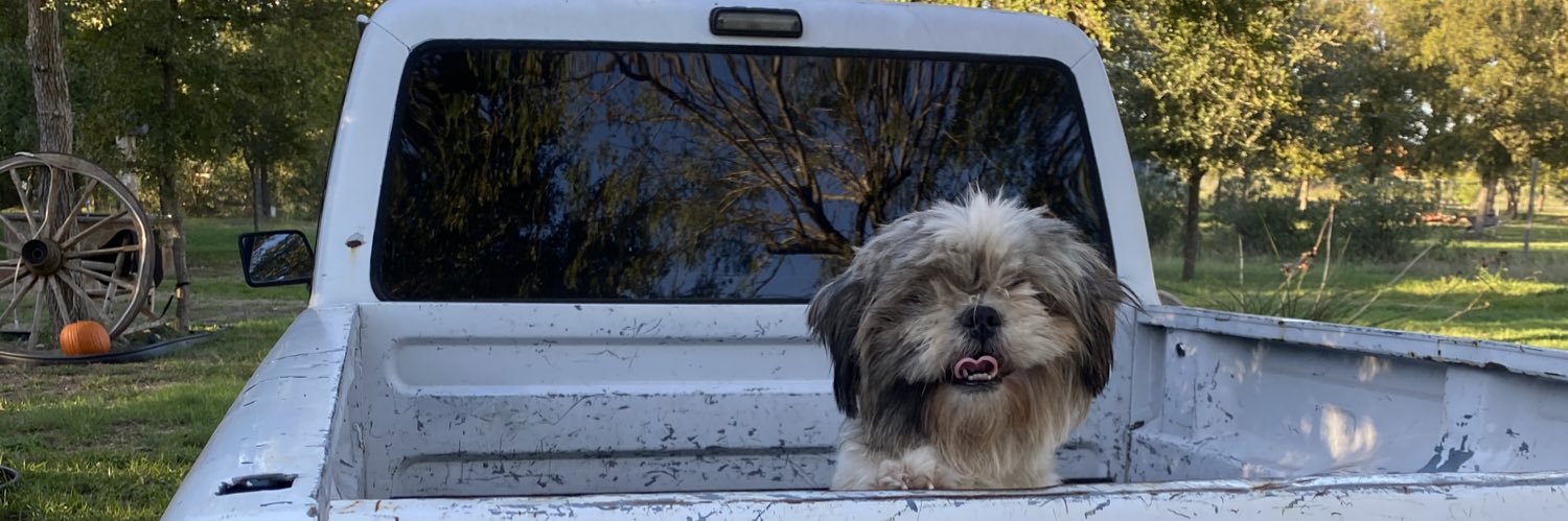 lessleyyyyyy's profile banner image