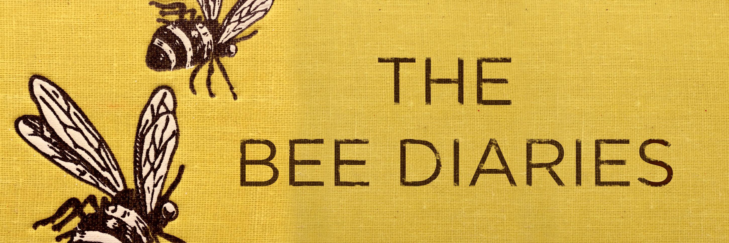 TheBeeDiaries's profile banner image