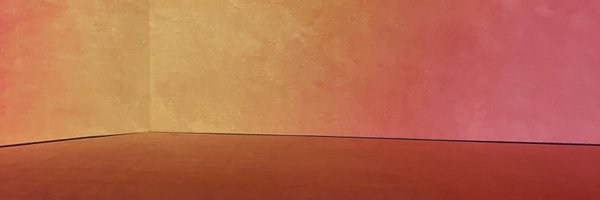 SigneBraafladt Profile Banner