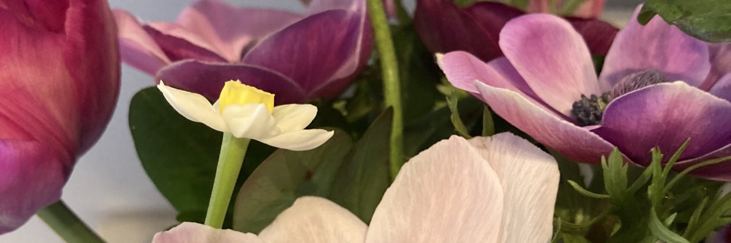 AnneStruther's profile banner image