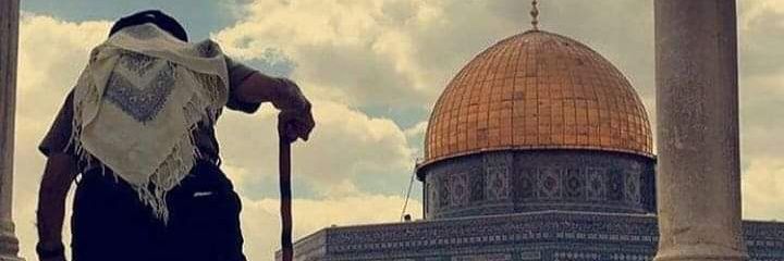 alaa_gamal74's profile banner image