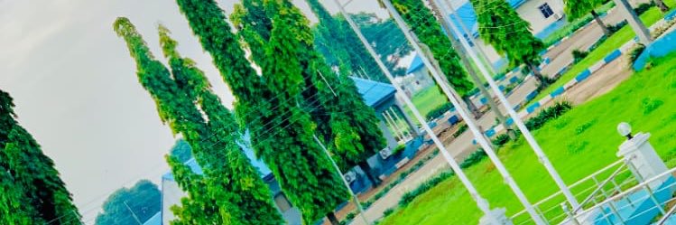 ToyinAweda's profile banner image