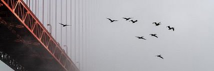 Ss__2017's profile banner image