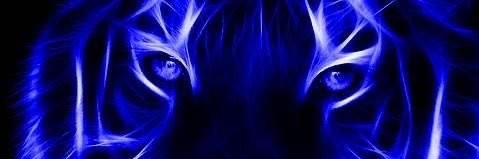 POLANKACORTES's profile banner image