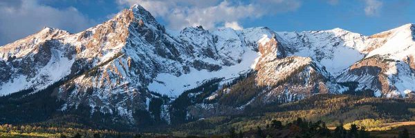 TB0150 Profile Banner