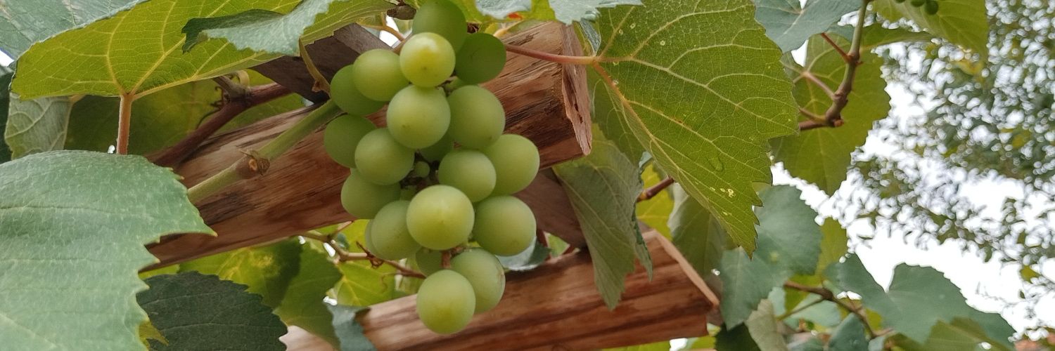 atitina2002's profile banner image