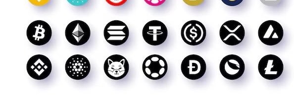 cryptowau's profile banner image