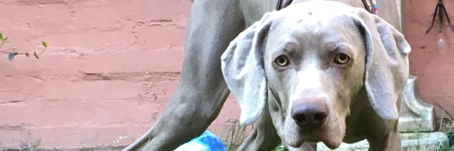 Dario_47's profile banner image
