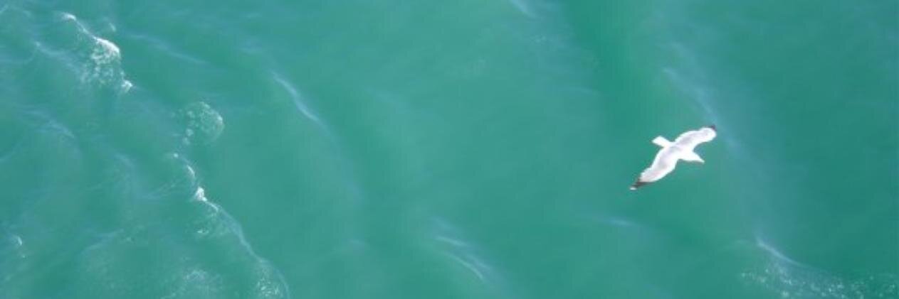 DouglasVicky's profile banner image
