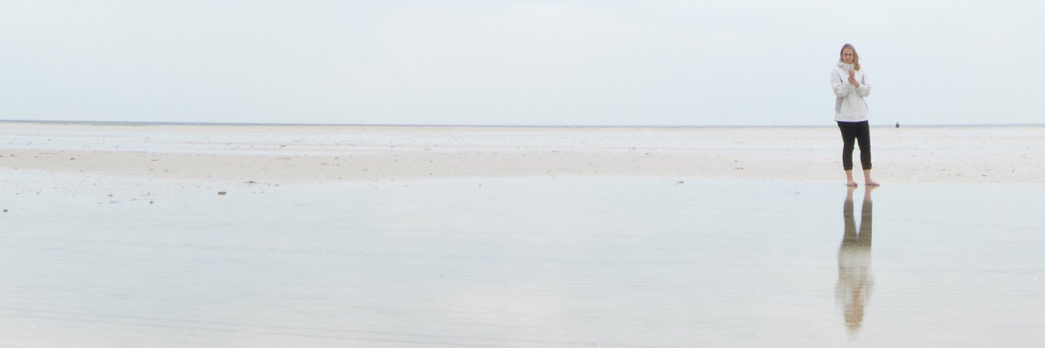 RachelEStark's profile banner image