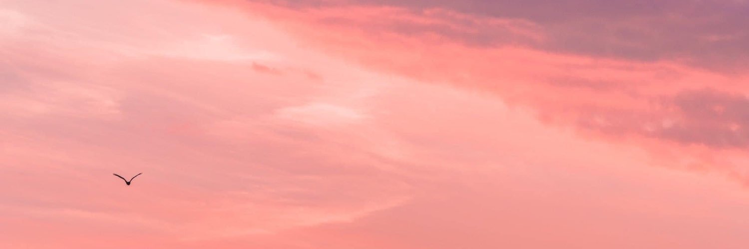 maxsarahmad's profile banner image