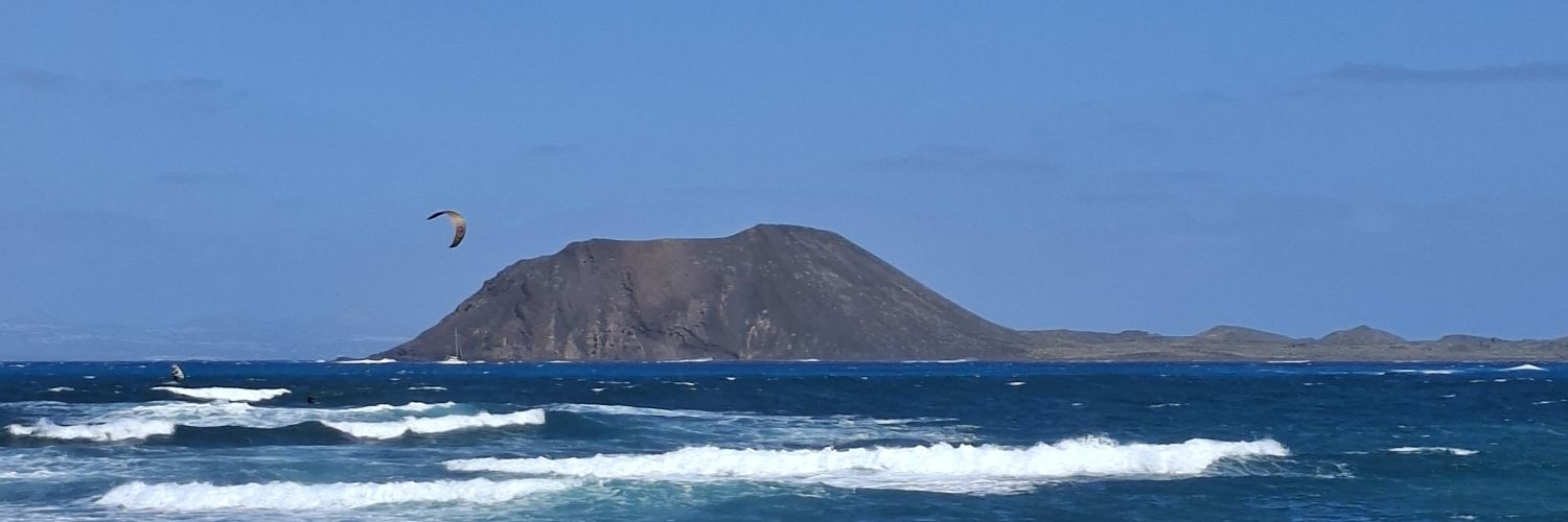 no sense 🔄 banner