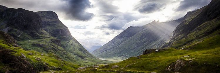 aromrec958's profile banner image