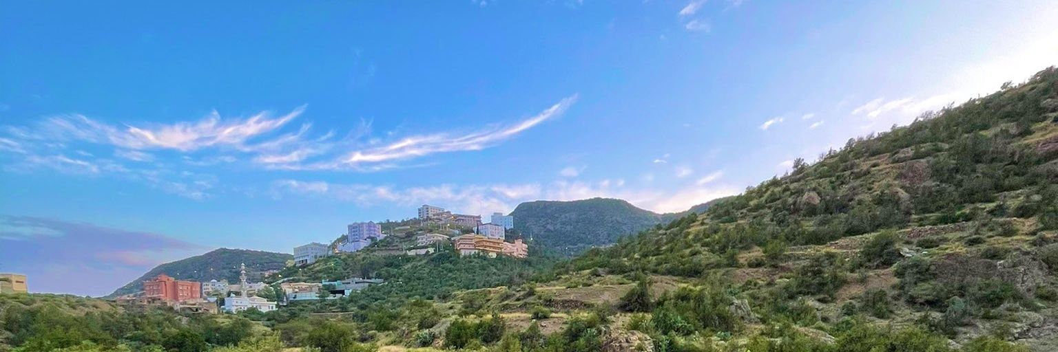 علي احمد الزهراني banner