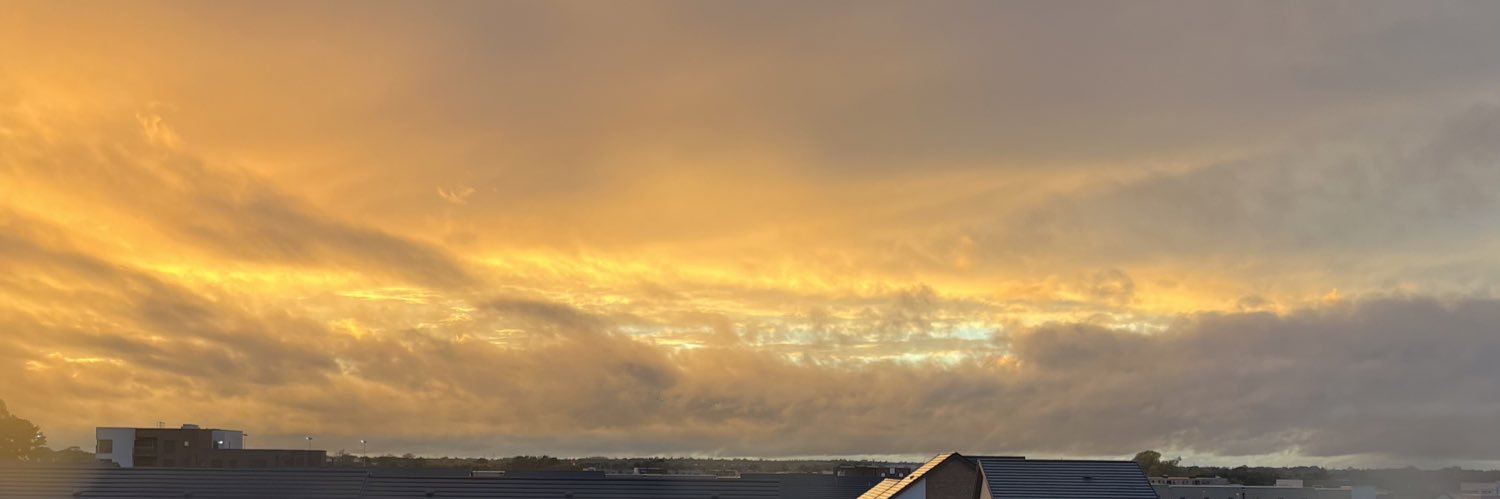 IzaLo3's profile banner image