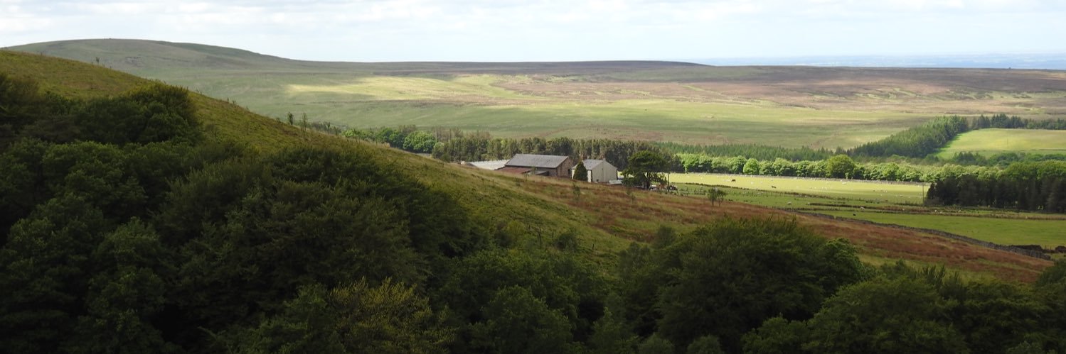 Mark Jarrett 🏴󠁧󠁢󠁥󠁮󠁧󠁿🏴󠁧󠁢󠁳󠁣󠁴󠁿🇮🇪 banner