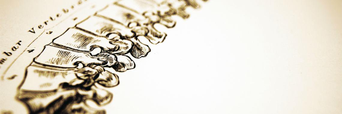 ChiroKoch's profile banner image