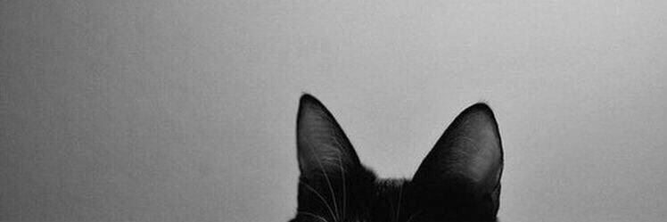 sincerely_ali's profile banner image