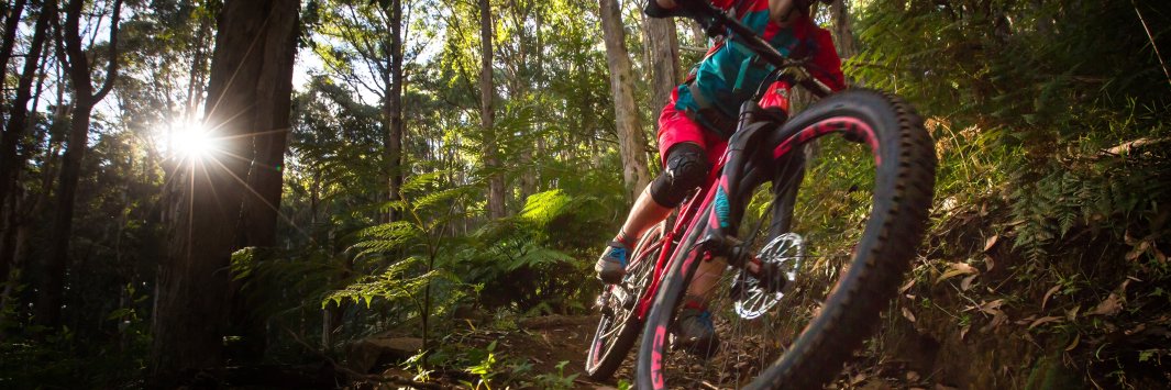 Yarra Ranges MTB banner
