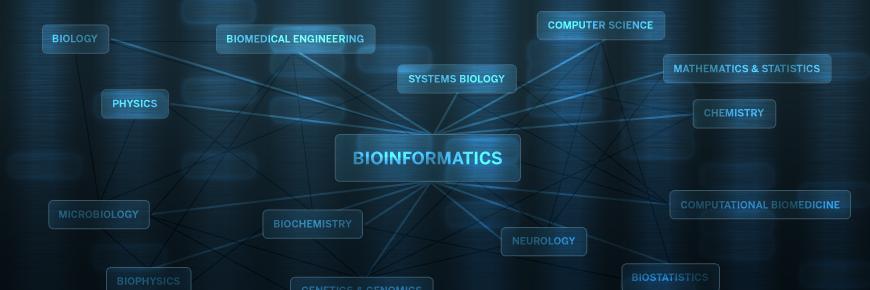 BU Bioinformatics banner