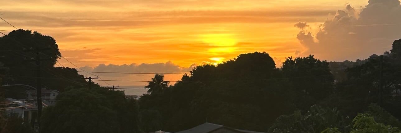 ASunsTirade's profile banner image