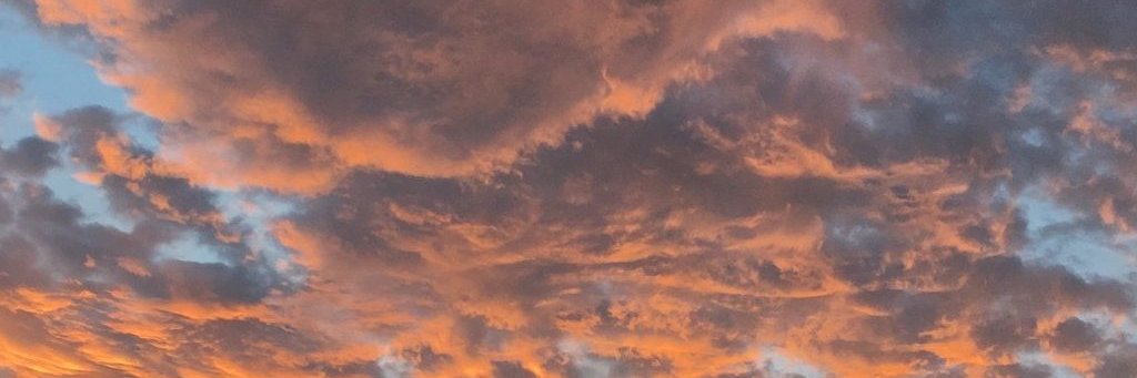 FErgersonn THE GREAT banner