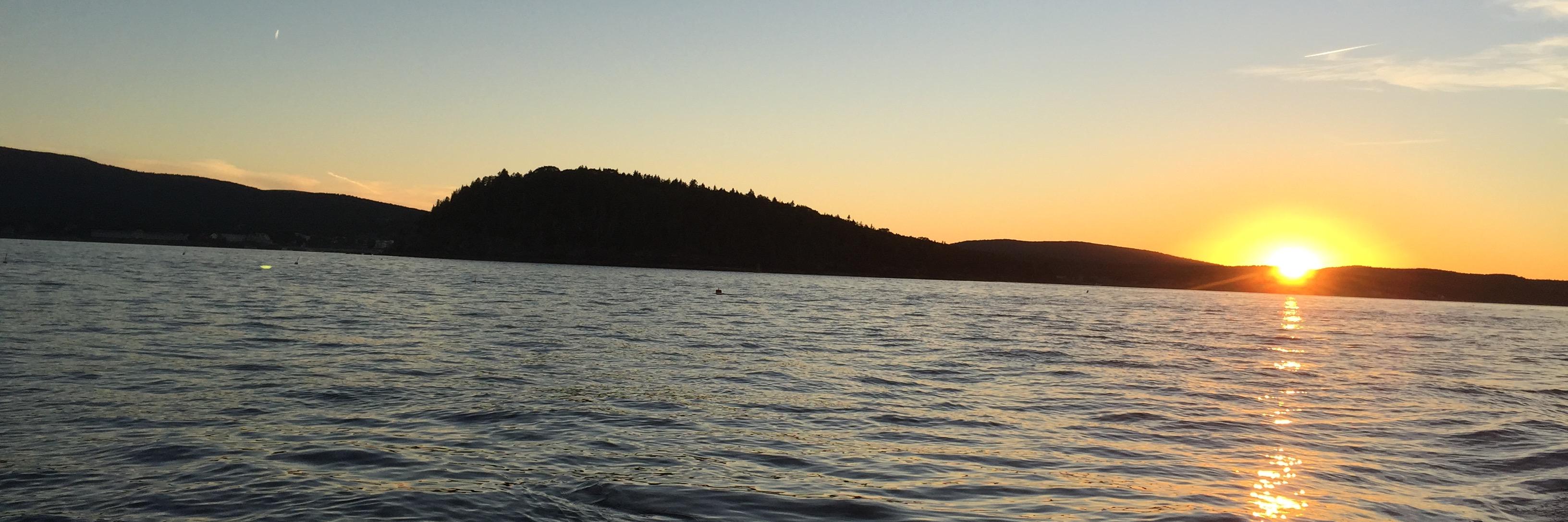 humanecologist's profile banner image