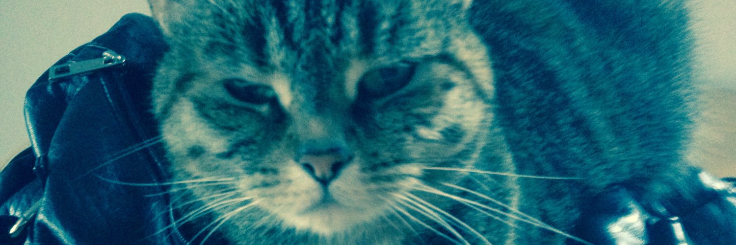 looloo1983's profile banner image