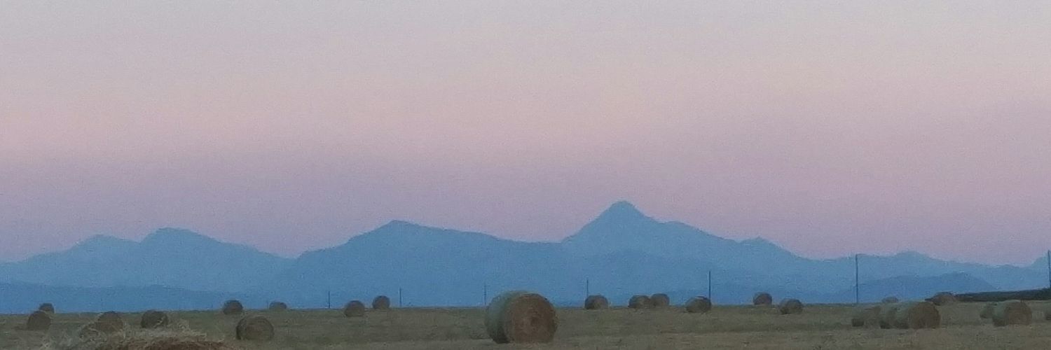 Carrie Butterwick banner